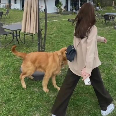 一袋锤子